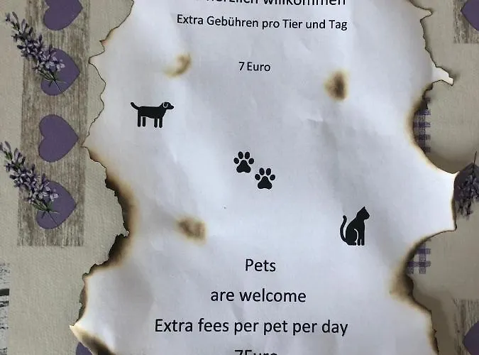 Im Bachgrund Schlitz