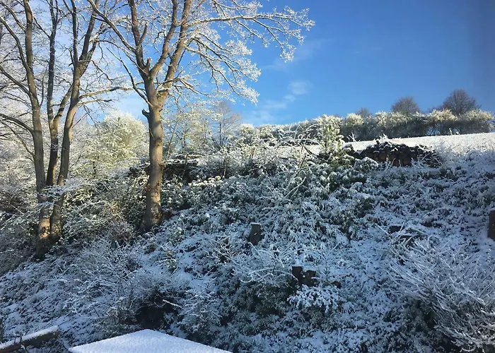 Im Bachgrund * Schlitz